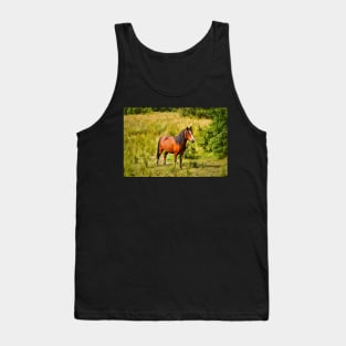 Beautiful Horse In Field - Equine Photography Tank Top